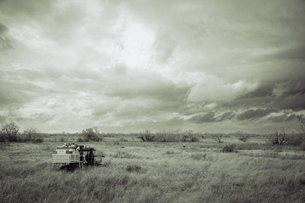 upland hunting