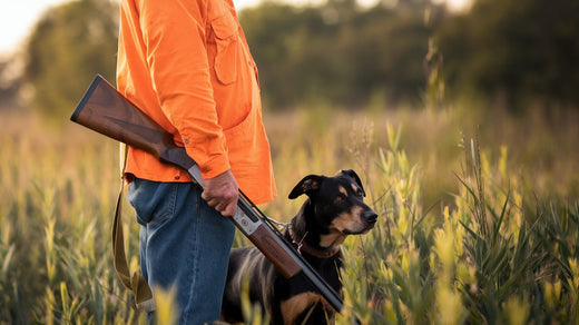 Upland Hunting - What Is It?