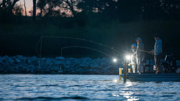 people fishing in night